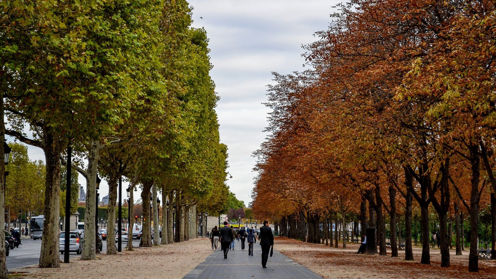 Campos Eliseos - Paris de lujo